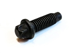 БОЛТ М 8х22х1,25 ЗВЕЗДА САЛАЗОК 2110