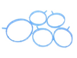 ПРОКЛАДКИ МОДУЛЯ ВПУСКА  21127