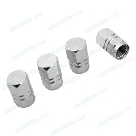 КОЛПАЧОК КАМЕРЫ SW