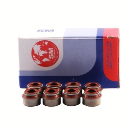 САЛЬНИКИ КЛАПАНОВ SM 2101/08