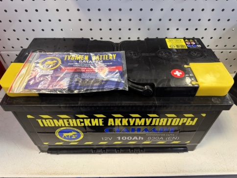 АКБ ЛОСЬ 6СТ-100L ТЮМЕНЬ фото 1