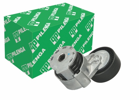 НАТЯЖИТЕЛЬ РЕМНЯ ГЕНЕР. БЕЗ ГУР ЛАРГУС фото 1