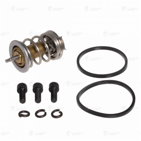 ТЕРМОЭЛЕМЕНТ 1118/2110 LUZAR фото 1