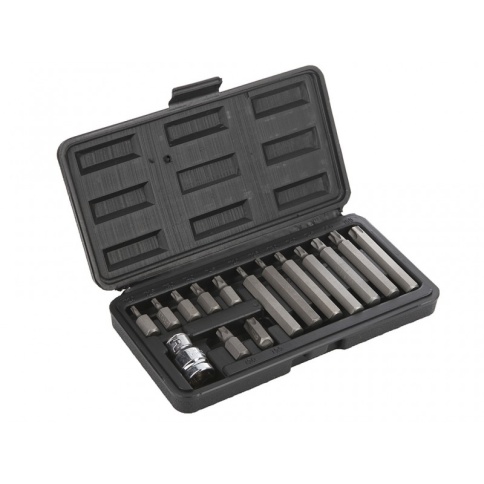 НАБОР БИТ 15пр. Т20-55 СЕРВИС КЛЮЧ  фото 1