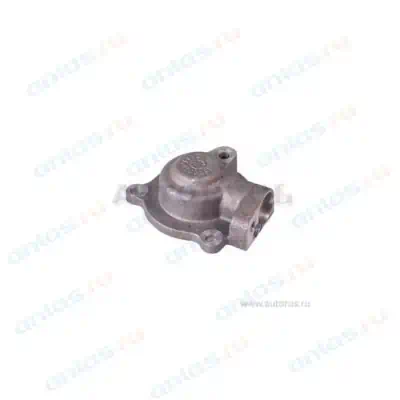 ЗАГЛУШКА ГОЛ. БЛОКА ИНЖ. БЕЗ ДАТЧИКА 2111 фото 1