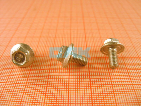 БОЛТ М 5х10х1,25 ЗАДН.ДВЕРИ БУРТИКОМ 2101 фото 1