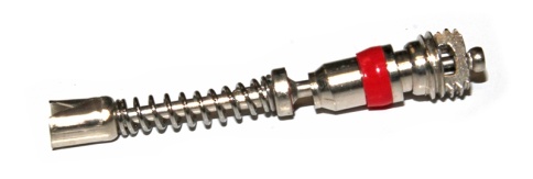 ЗОЛОТНИК ДЛИННЫЙ фото 1